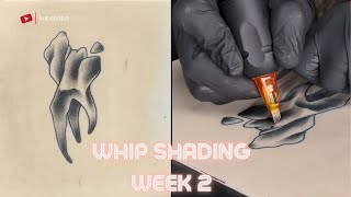 Back To Basics  Shading Tutorial  Week 2  Whip Shading [upl. by Atnomed]