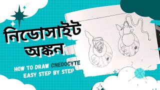 নিডোসাইট অঙ্কন  Cnedocyte Diagram Drawing  Easy step by step using Pencil Compass [upl. by Kordula]