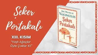 Şeker Portakalı Sesli Kitap  13 BÖLÜM  Jose Mauro de Vasconcelos [upl. by Halimaj523]