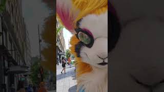 Pharmaprix montreal animeconvention cosplay furry [upl. by Buckie]