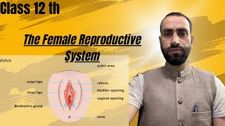 The Female Reproductive system part 02 Neet Biology [upl. by Aihsined]