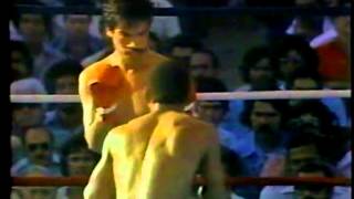 1979114 Carlos Palomino vs Wilfredo Benítez [upl. by Zachariah]