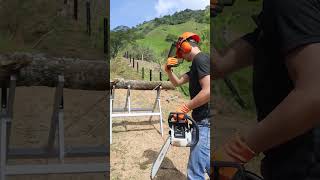 Increíble Motosierra Stihl MS 250 shorts [upl. by Ada251]