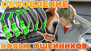 Как обновлять ошейники T5 T5x T20 TT25 [upl. by Duleba]