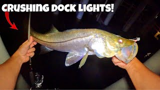 Crushing SNOOK And Trout Off DOCK LIGHTS [upl. by Dupuis88]