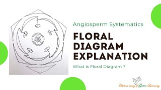 Floral Diagram explanation I What is floral diagram [upl. by Akim]