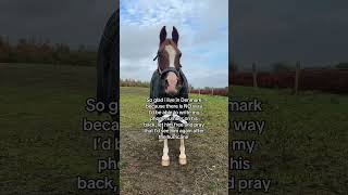 💔❤️‍🩹 horse pferde horses equestrian pony hurricane florida love cheval hest trending [upl. by Rosemare]