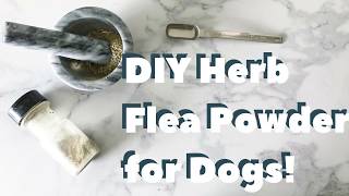 DIY AllNatural Flea Powder for Dogs [upl. by Bamby]