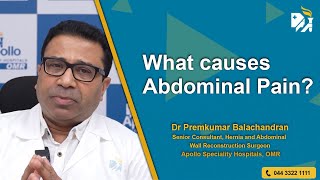 What causes Abdominal Pain [upl. by Atteuqahc886]