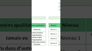 Matrice dévaluation des risques [upl. by Esinev]