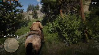 Red Dead Redemption 2 high graphics 1080p gameplay ryzen 5 5600 [upl. by Esiuol]