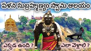 Palani subramanya swamy temple full tour in telugu  Palani temple  Palani palani muruganviral [upl. by Lidda113]