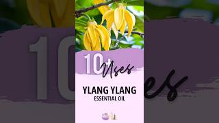 Ylang Ylang Essential Oil Uses  Essential Oils Education [upl. by Amada]