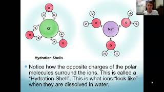 Intermolecular Forces [upl. by Euqnomod]