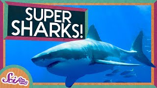 Super Sharks  Amazing Animals  SciShow Kids [upl. by Kip]