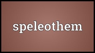 Speleothem Meaning [upl. by Annaer570]