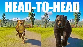 Cheetah vs Grizzly Bear A Head to Head Speed Race in Planet Zoo [upl. by Nomzaj801]