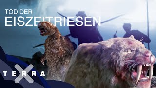 Fünf Fakten zum Ende der Megafauna  Terra X [upl. by Nidnarb]