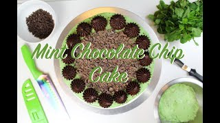 Mint Chocolate Chip Cake  CHELSWEETS [upl. by Rutger]