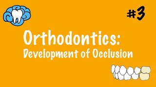 Orthodontics  Development of Occlusion  INBDE ADAT [upl. by Orodisi259]