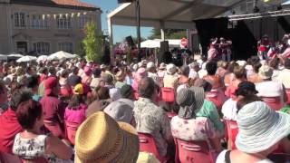 Festival de Confolens 2013 Extraits [upl. by Niel838]