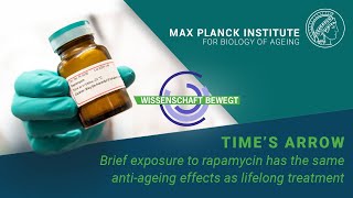 Time’s arrow Brief exposure to rapamycin has the same antiageing effects as lifelong treatment [upl. by Anialram]