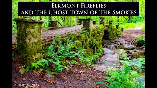 Elkmont Fireflies and the Ghost Town of the Smokies June 2023 [upl. by Laks]