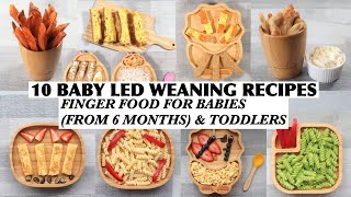 10 BABY LED WEANING RECIPES  FINGER FOOD FOR BABIES FROM 6 MONTHS amp TODDLERS  BLW 6 MONTHS RECIPES [upl. by Noicnecsa622]