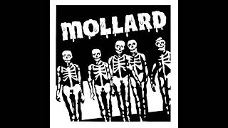 MOLLARD  ZONARD [upl. by Ragas689]