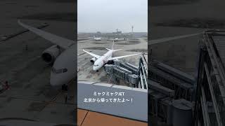 ミャクミャクJET羽田空港に北京から 飛行機 travel 羽田空港 sky ミャクミャクジェット 帰ってきたよ〜！ [upl. by Tacita802]