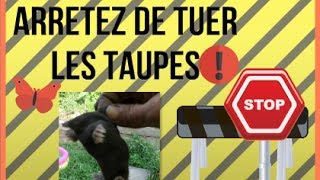 Stop AntiTaupes Pourquoi ne pas tuer les taupes [upl. by Ibed]