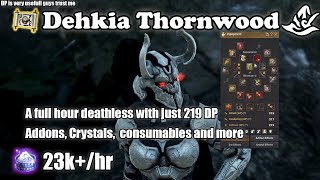 BDO  Awake Witch 219 DP Dehkia Thornwood 23khr L2 yellow LS  Proof of concept [upl. by Annadiane]