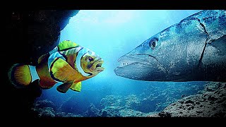 Finding Nemo Remake LEAKED SCENE [upl. by Virgin]