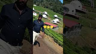 Natural songs this Ooty Kotagiri🤭💛🤭💛 [upl. by Skippie868]