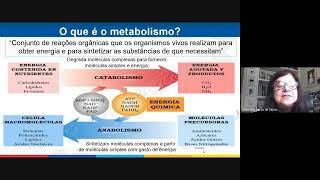 Metabolismo dos Carboidratos I [upl. by Ahsead]