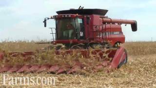 Farm Progress Show 2011 Combine Demo CaseIH 8120 [upl. by Kelci]