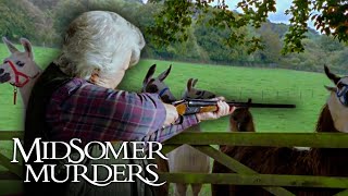 Can A Victim Survive Assassination  Midsomer Murders [upl. by Saylor861]