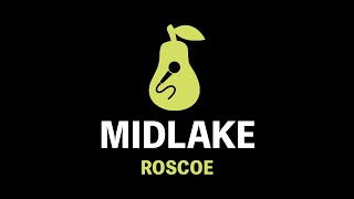 Midlake  Roscoe Album Version Karaoke [upl. by Bridges246]