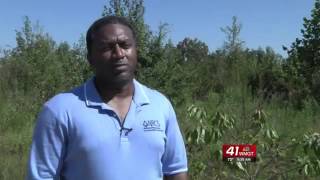 Pulaski County farmer restoring longleaf pine forests [upl. by Yokoyama]