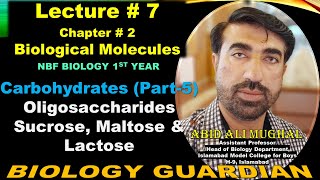 Oligosaccharides  Disaccharides  Sucrose  Maltose  Lactose  Lecture 7 Ch 2 NBF Biology11 [upl. by Zink381]