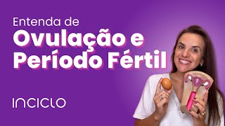 Ovulação Período Fértil  O Que é Sintomas da Ovulação Período Fértil [upl. by Nerissa]