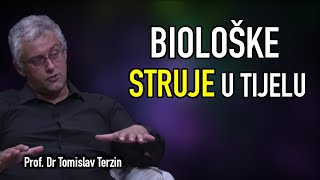 Tomislav Terzin  BIOLOŠKE STRUJE U TIJELU [upl. by Minny447]