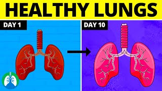 If You Want Healthy Lungs Do THIS Every Day for 30 Days ❗ [upl. by Mcadams]