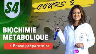 Phase préparatoire  biochimie métabolique  SVI S4 [upl. by Mattox999]