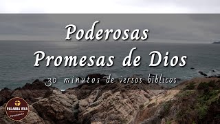 Promesas de Dios que cambiarán tu vida  30 min de versículos bíblicos para motivarte  La Biblia [upl. by Andrews699]