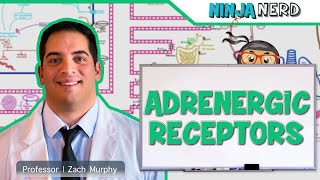 Neurology  Adrenergic Receptors [upl. by Anavoj485]