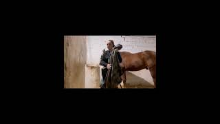 Morning routine asa horse owner 🐴 horses stables horseowner dailylife spanishhorse horseriding [upl. by Oberon]