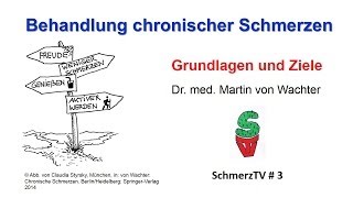 Behandlung chronischer Schmerzen  Grundlagen und Ziele [upl. by Barbee]