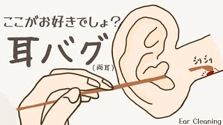 【ASMR】ここがお好きでしょ？耳バグ（両耳） Ear Cleaning 【No Talking】 [upl. by Scrogan]