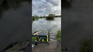 Hate tight pegging livematchfishing fishing matchfishing [upl. by Gimble541]